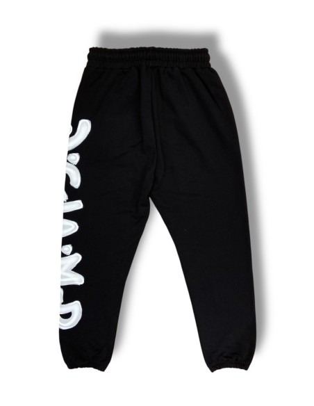 Disclaimer Pantalone