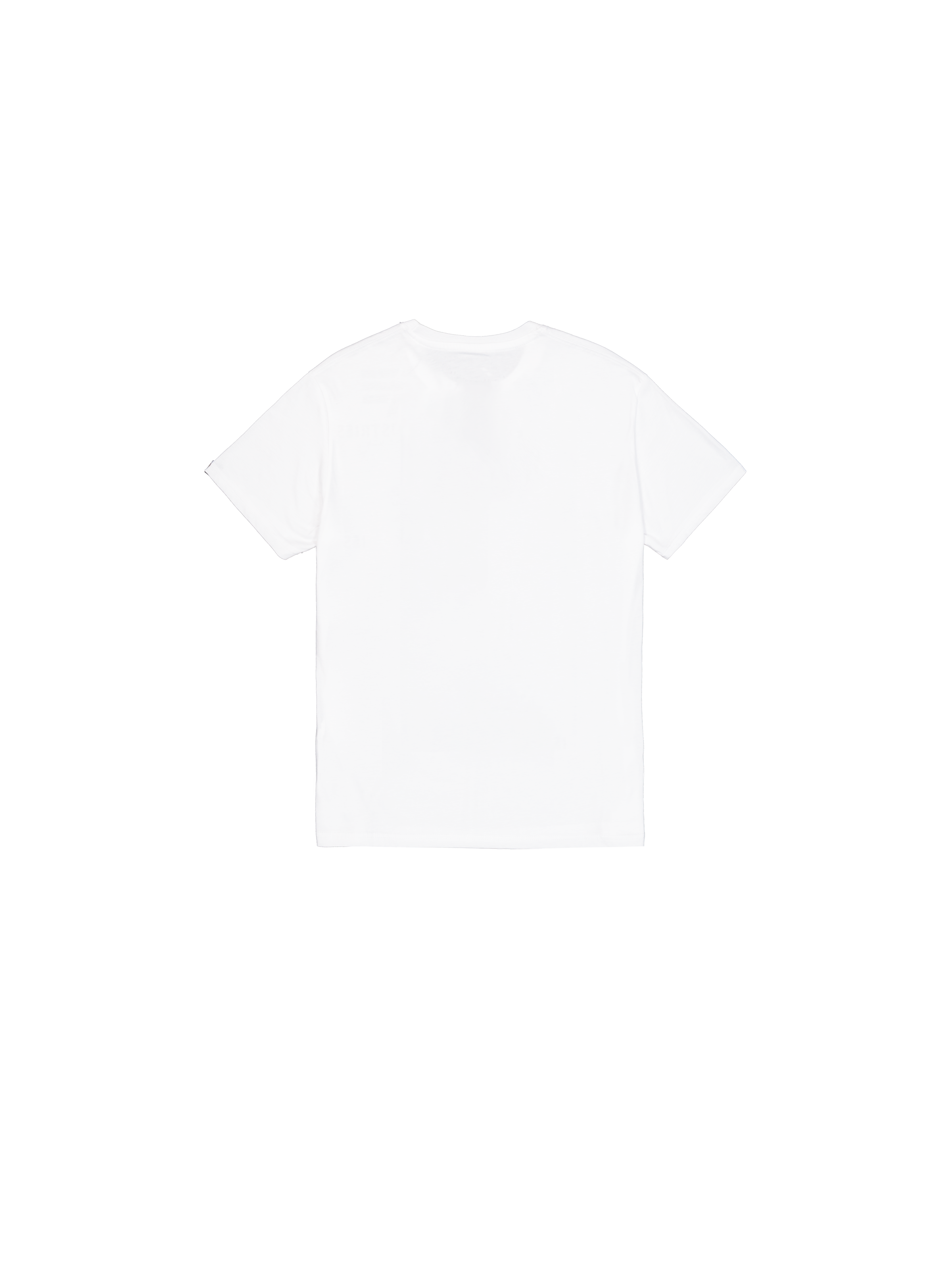 Alpha Industries Basic Small Logo T-Shirt white