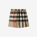 Burberry costume
