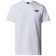 THE NORTH FACE M S/S REDBOX CELEBRATION TEE
