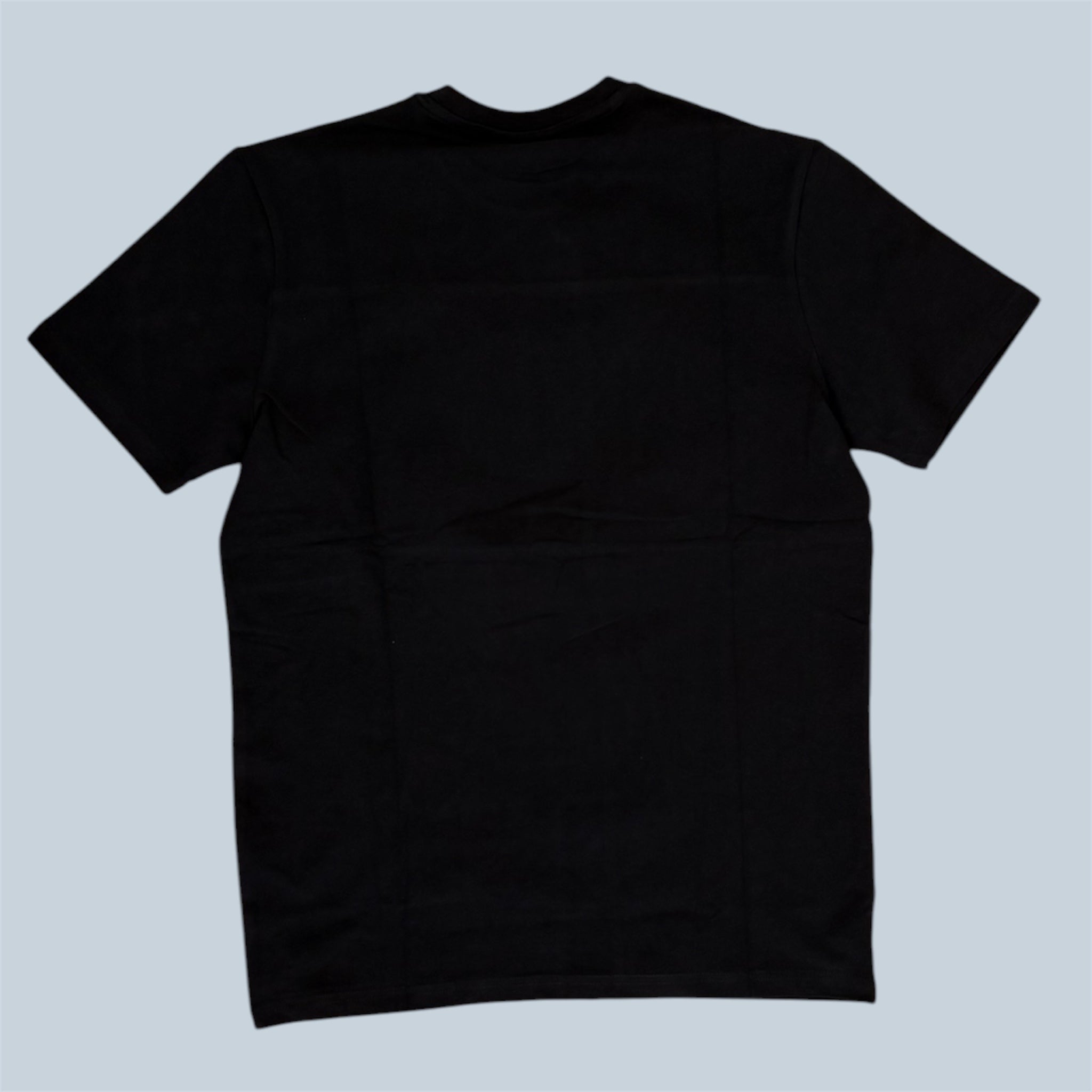 Lacoste T shirt bicolore
