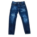 Alternet Jeans Regular j022